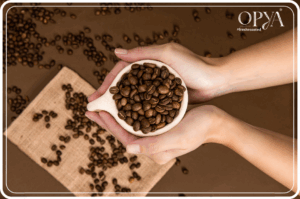 Tipuri de Prăjire a Cafelei Cum Alegi Profilul Perfect
