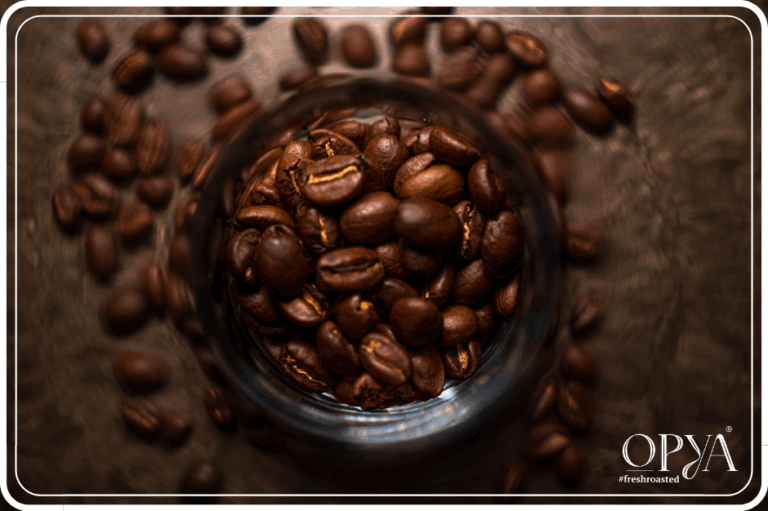 Ce este Cup of Excellence și cum ajung aceste cafele rare în portofoliul OPYA