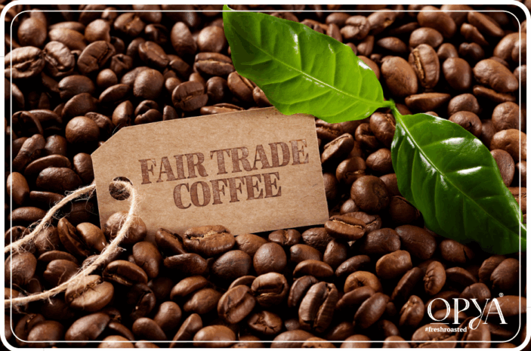 Cafeaua și Sustenabilitatea Traseul etic al cafelei OPYA din fermă până la tine acasă