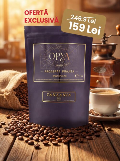 Tanzania Kilimanjaro Plantation AA