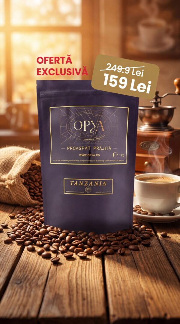 Tanzania Kilimanjaro Plantation AA